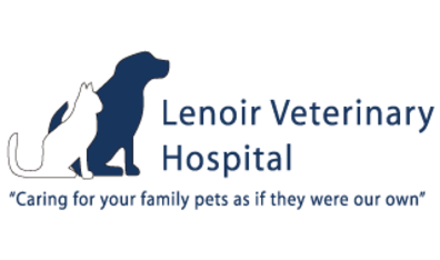 Lenoir Veterinary Hospital-HeaderLogo
